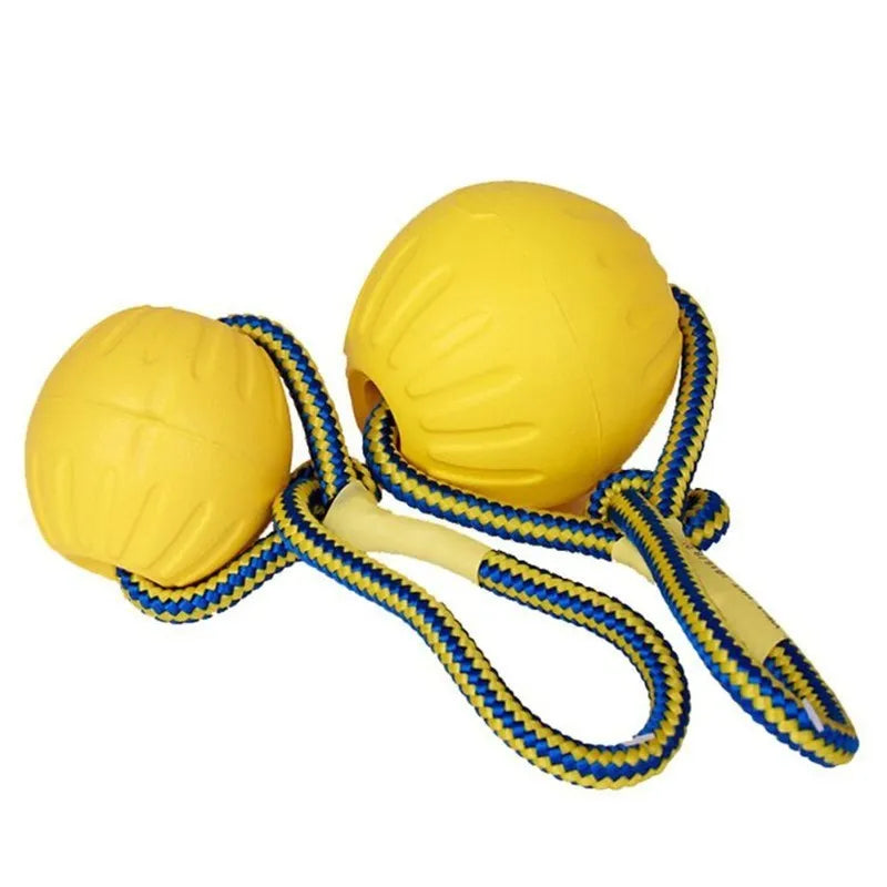 Training Ball Toy