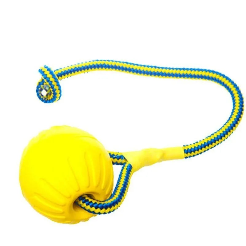 Training Ball Toy