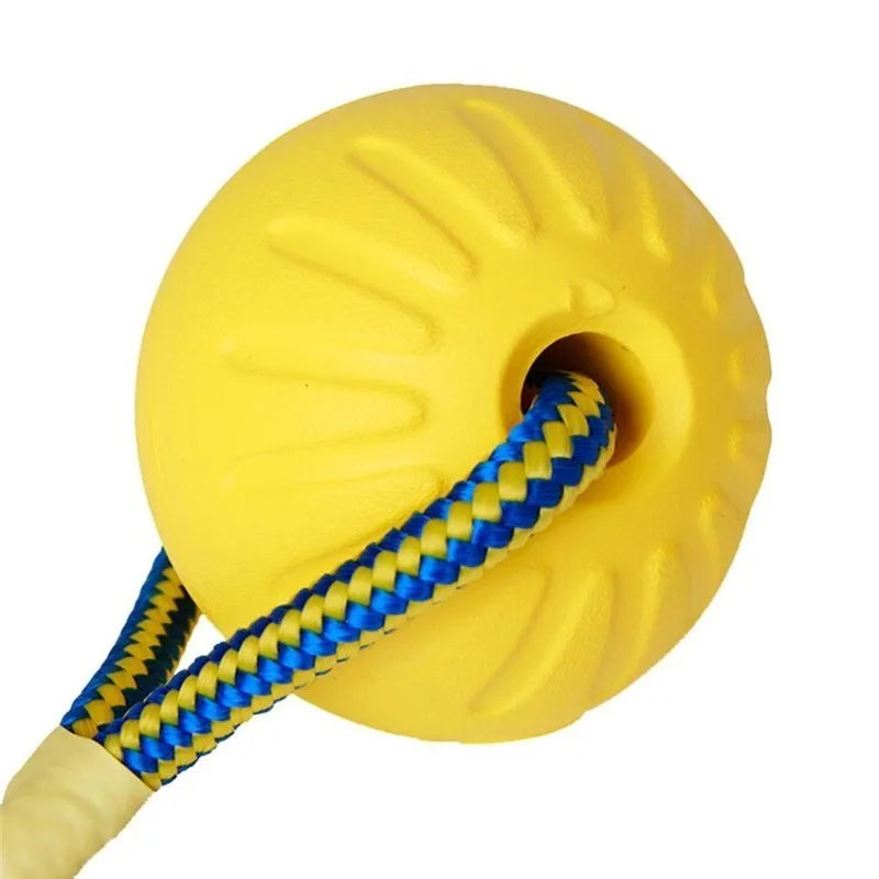 Training Ball Toy