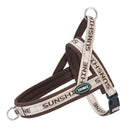 Peitoral Canino Lúmen Sunshine