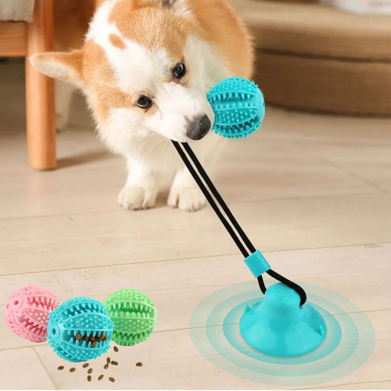 Dog Puzzle Toy