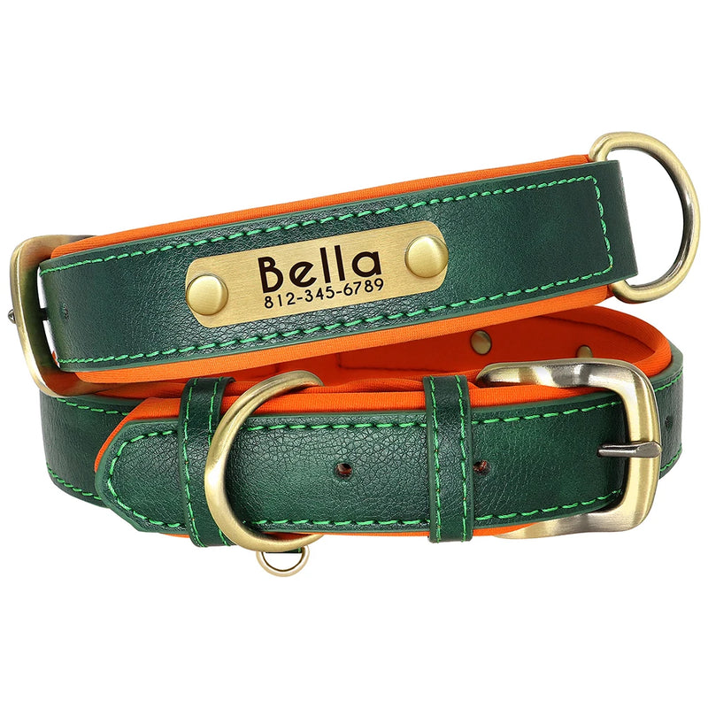 Coleira Pinscher Gravada