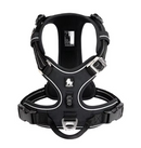 Peitoral Truelove Upgrade 2.0 + Guia Truelove Upgrade Grátis