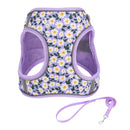 Peitoral Canino Bellanova