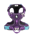 Peitoral Truelove Upgrade 2.0 + Guia Truelove Upgrade Grátis