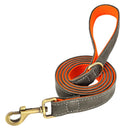 Coleira Pinscher Gravada + Guia Grátis