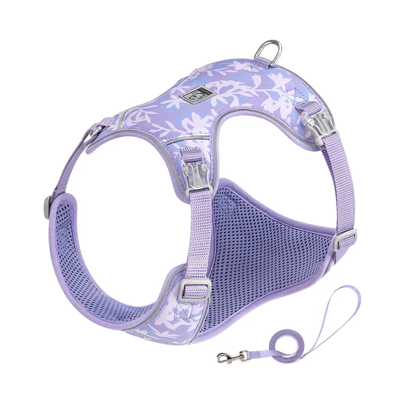 Kit Peitoral e Guia Truelove para Cães Pequenos e Filhotes – Leve e Respirável