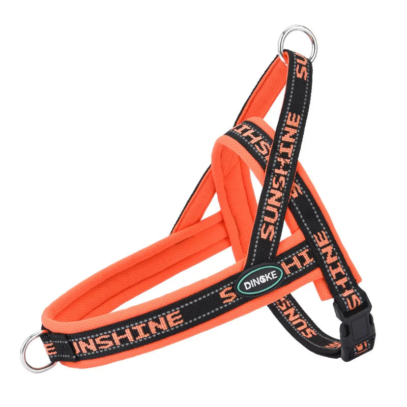 Peitoral Canino Lúmen Sunshine