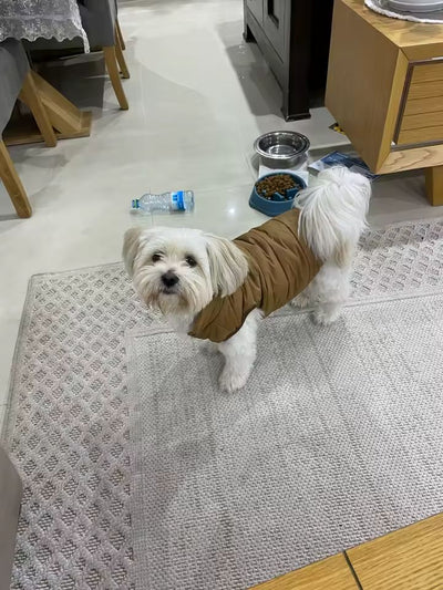 Foto enviada por Débora Martins