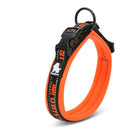 Coleira Truelove Collection - Laranja