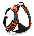 Peitoral Truelove Colete Laranja