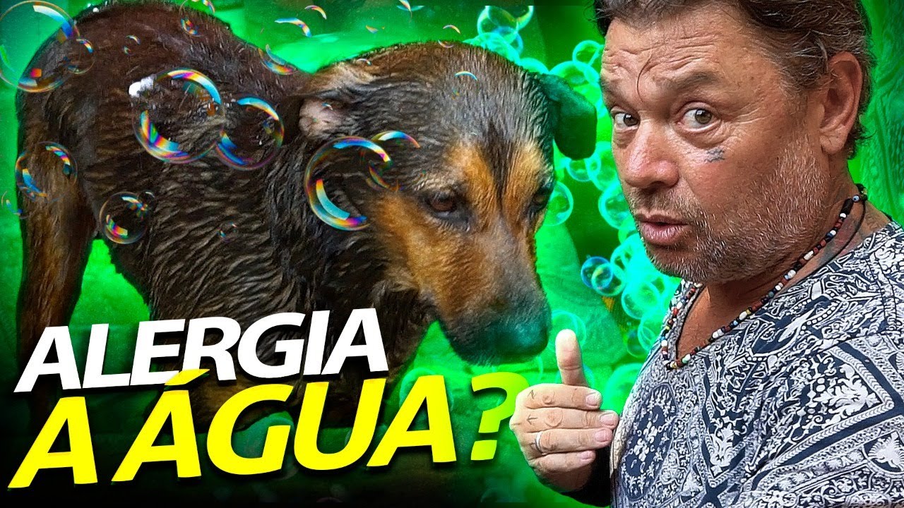 Carregar vídeo: 