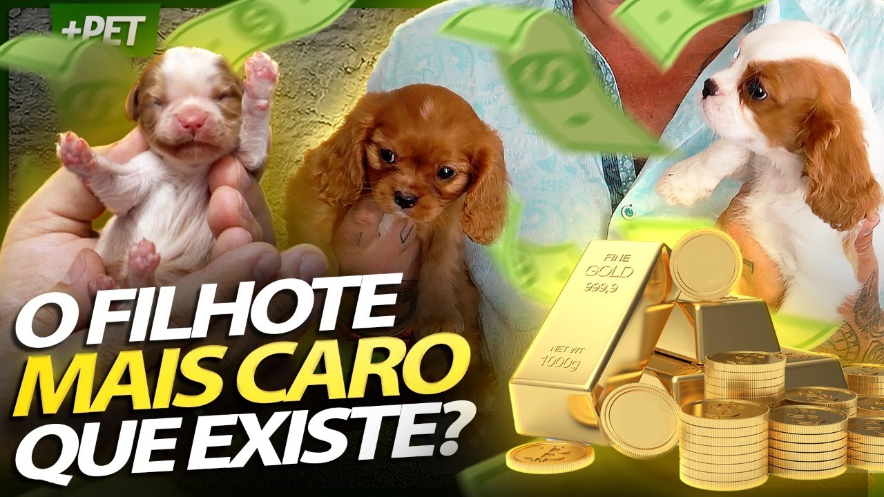 Carregar vídeo: 