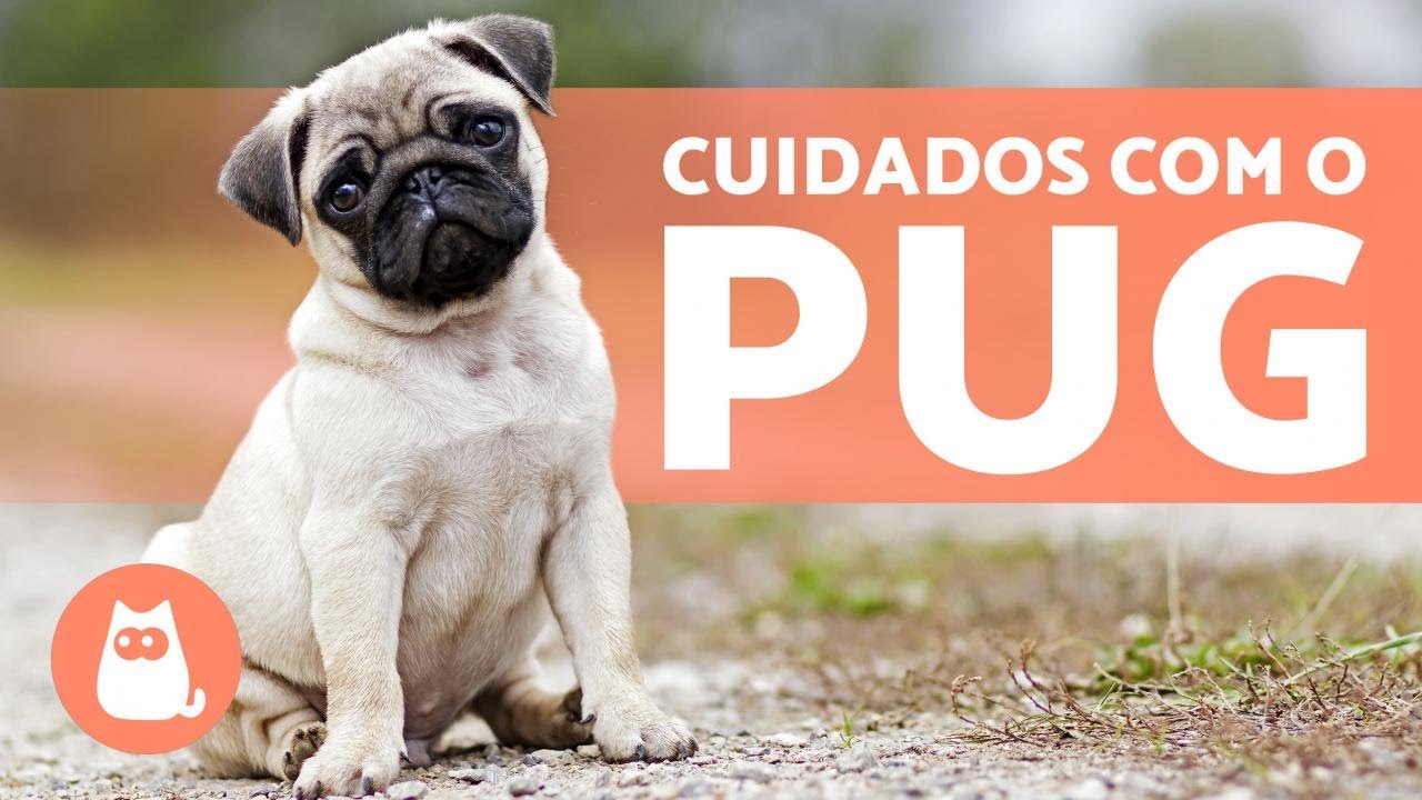 Carregar vídeo: 