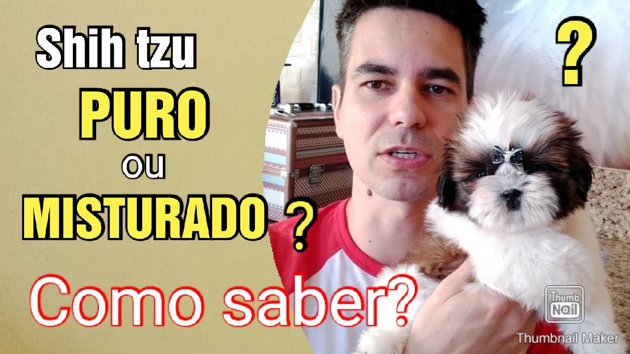 Carregar vídeo: 