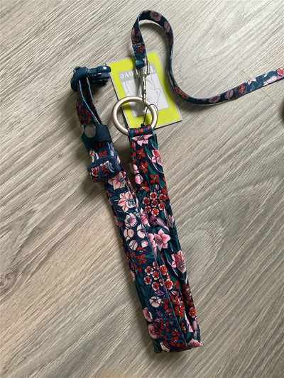 Foto enviada por Vava Camilo
