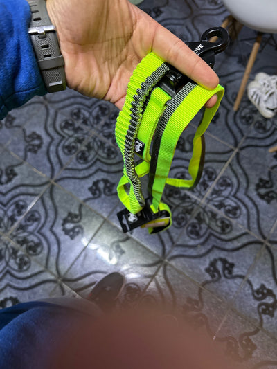 Foto enviada por Heitor Leiria