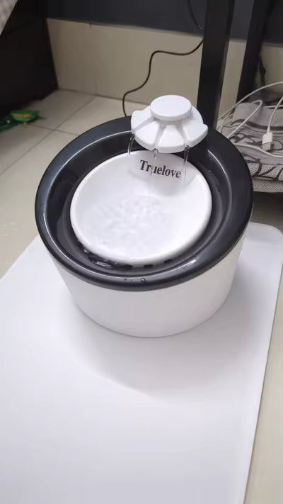 Foto enviada por Otávio Reis