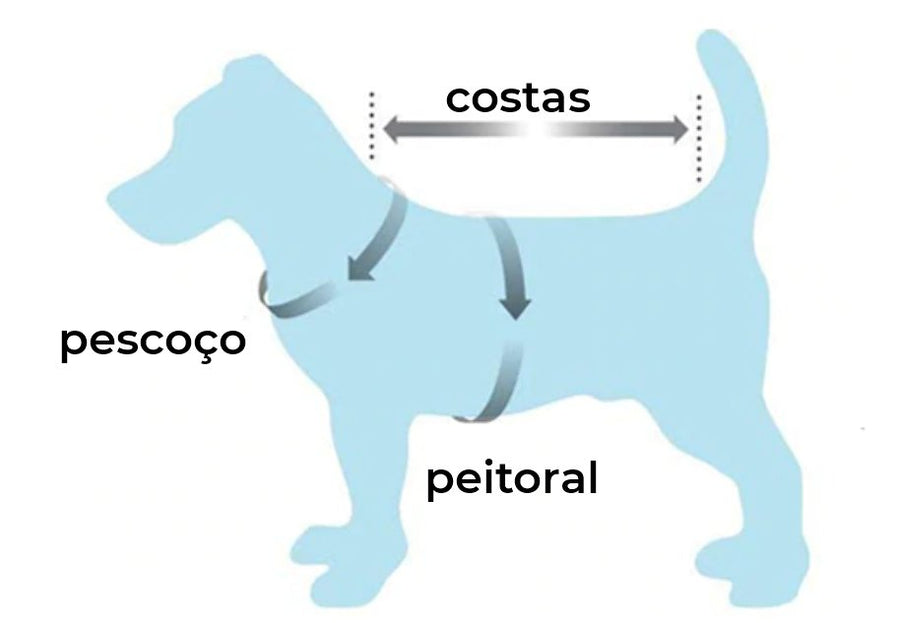 Ilustração de cachorro mostrando onde medir pescoço, peitoral e costas