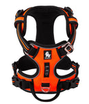 Peitoral Truelove Upgrade Laranja