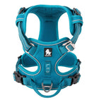 Peitoral Truelove Upgrade Celeste