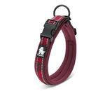 Coleira Truelove Colecction