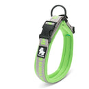 Coleira Truelove Colecction