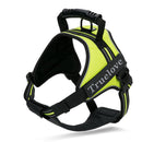 Peitoral Truelove Chest