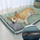 Caminha Comfortpet 2025