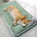 Caminha Comfortpet 2025