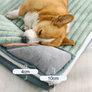 Caminha Comfortpet 2025