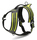 Peitoral Truelove Robust