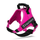 Peitoral Truelove Chest