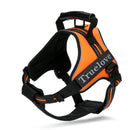 Peitoral Truelove Chest