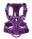 Peitoral Truelove Upgrade + Guia Upgrade Grátis