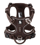 Peitoral Truelove Upgrade + Guia Upgrade Grátis